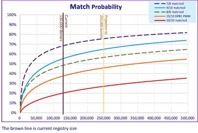 Revisit of Optimal Donor Number Estimation in the Hong Kong Bone Marrow Donor Registry